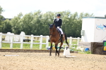 SBM_001653