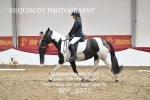 BPP_8371