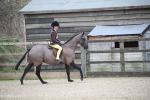 SBM_004628