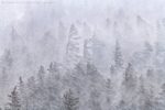 Wicked Winter