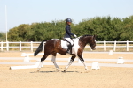 SBM_001248
