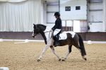 SBM_000288