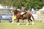 SBM_09590
