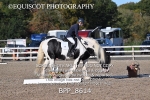 BPP_8614