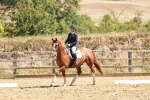 SBM_001655