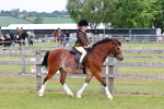 SBM_08545