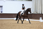 SBM_009329