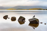 Milarrochy Bay, Loch Lomond (4)