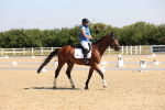 SBM_003419