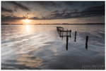 Oxford Island (IMG0524)