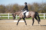 SBM_004447