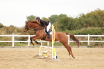 SBM_008486