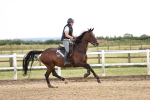 SBM_002535
