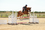 SBM_006666