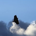 sky high on saddleworth