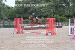 BPP_2008