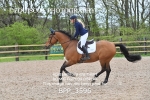 BPP_3596