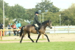 SBM_62626