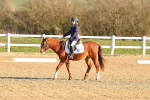 SBM_000637