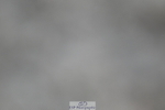 240611A-194131-01431