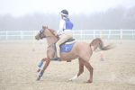 SBM_001049