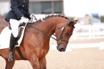 SBM_04021