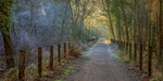 January Walk