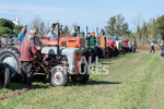 Guernsey Agricultural Show 2021-228