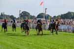 Race 6 16.45pm Julia Graves Roses Stakes portfolio