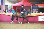 SBM_14657