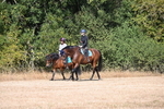 WJ6_7866