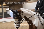 BPP_8572