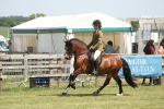 SBM_06946