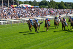 120725-Race 3-Fox Legacy-5671