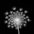 QUEEN ANNE'S FIREWORKS, 2017 - NORFOLK COUNTY