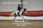 BPP_8872