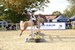 SBM_53588