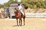 SBM_002959
