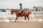 SBM_06001