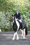 Lyford Stud - Dressage 03-05-25 portfolio