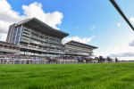 111024-Race 3-Minstrel Knight-7962