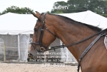 BPP_9498