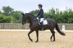 Pendarves Summer Dressage Series 05.07.2025 portfolio