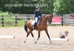 BPP_0747