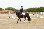 SBM_001203