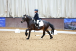 SBM_001246