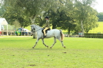 SBM_67532