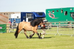 SBM_00869