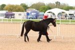 SBM_16580