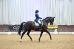 SBM_007858
